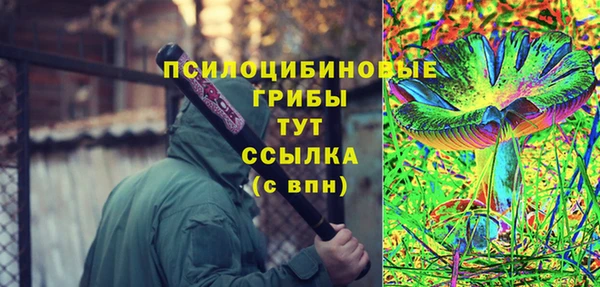 меф Богородицк