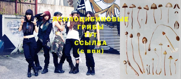 марки nbome Богданович