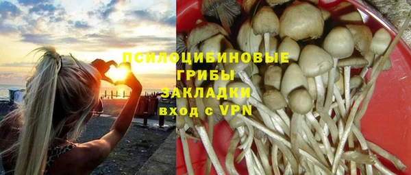 бошки Богородск