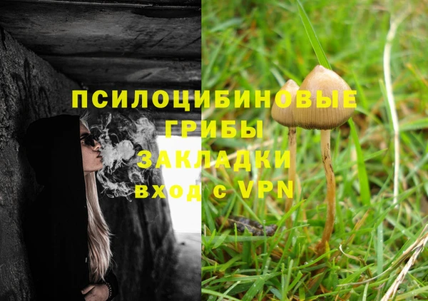 меф Богородицк