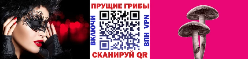 Псилоцибиновые грибы мицелий  что такое   Пионерский 